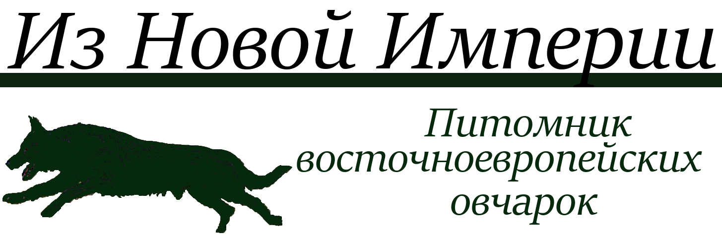 Логотип